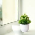 thumbnail image 5 of CQCYD under $5 Faux Plants Indoor, Small Fake Plants Mini Artificial Plants in Pots for Home Office Shelf Farmhouse Bathroom Decor, 5 of 6