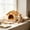 Yellow_Base#107, variant on Cat Cave Bed for Indoor Cats and Small Dogs, Extra Large Enclosed Pet House with Removable Washable Cushion, Warm Thickened Shelter