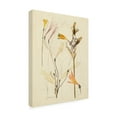 thumbnail image 2 of Vision Studio 'Antique Botanical Sketch VI' Canvas Art, 2 of 3