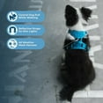 thumbnail image 3 of Voyager Dog Harness Dual Leash Attachment No-Pull Control Adjustable Soft, Strong Pet Harness for Medium & Large Dogs w/ 3M Reflective Technology w/ Leash Included - Turquoise, XS (Chest 22-27"), 3 of 8