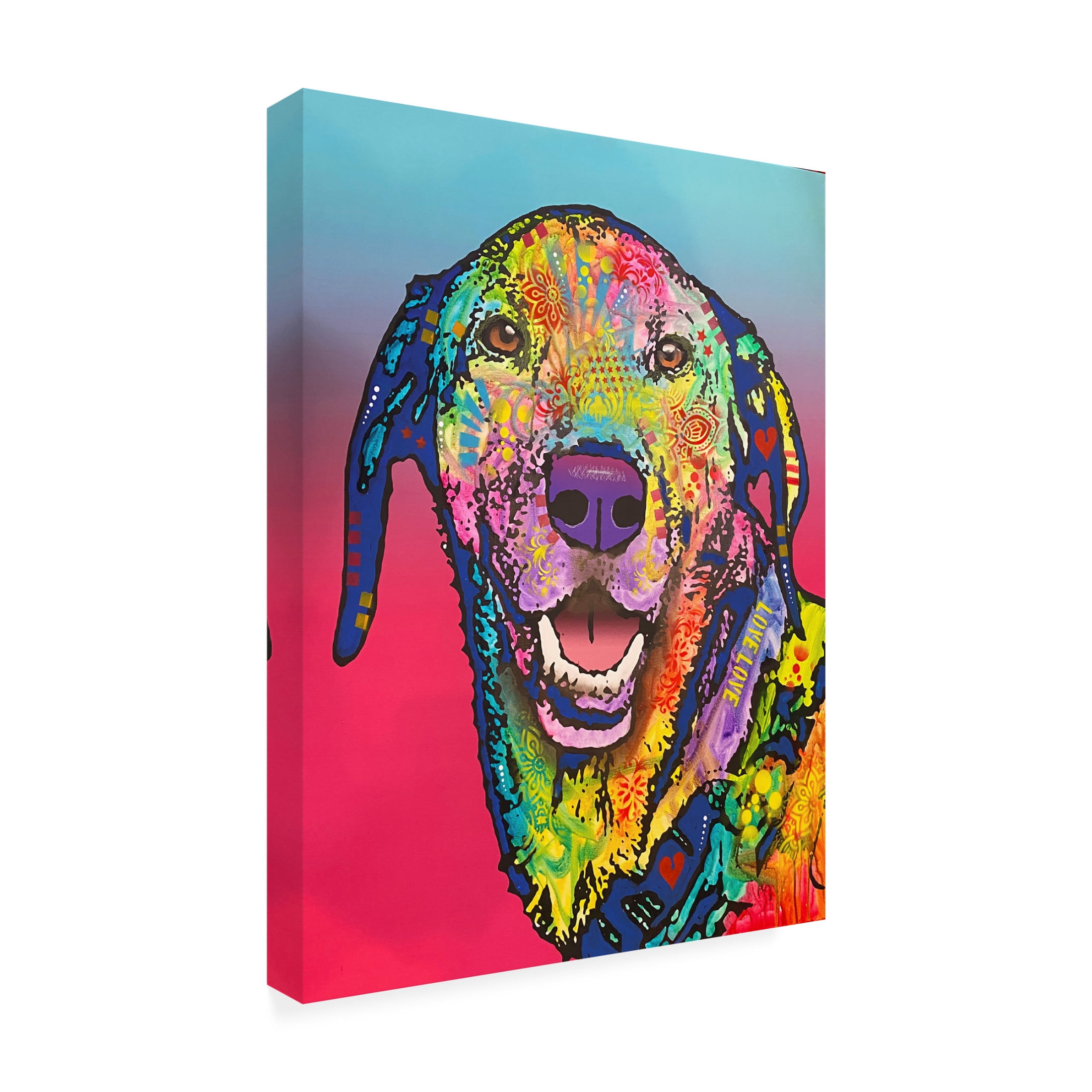 Canvas Wall Art - Dean Russo 'Zoomies Expert' Wall Art for Living Room, Bedroom, or Office Décor by Trademark Fine Art - 24 x 32 Inches