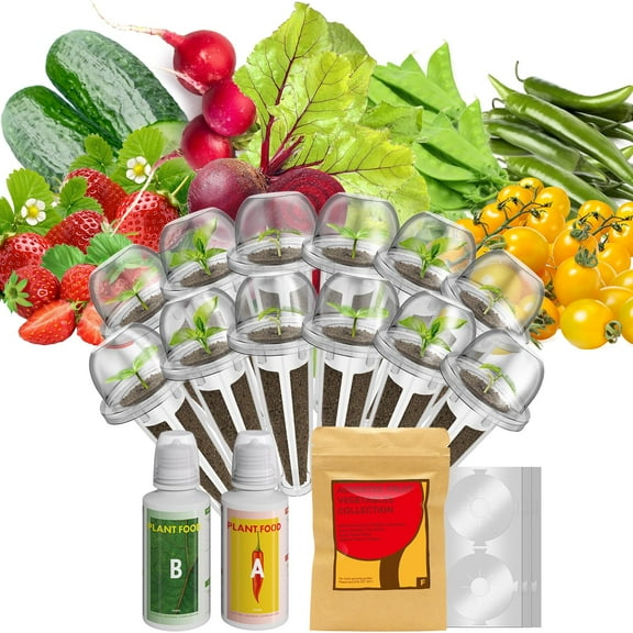 inbloom Fruit Seeds With Pod Kit for AeroGarden, Ahopegarden Hydroponics Garden, 12-Pods