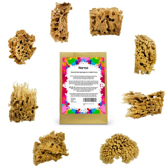 Esponjas de mar naturales para arte Naroa, pack de 8 para pintura