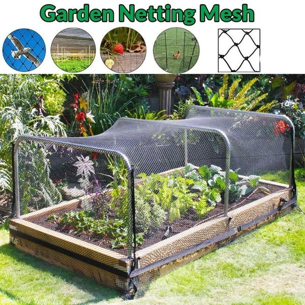 Veggie Garden DIY Before And After Pics! — CONNIE AND LUNA | Pcs Bird Net Vegetable Garden X 4m Protective Net For Garden Plants Nets |