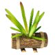thumbnail image 1 of Cuenca de madera simulación bonsái suculento decoración creativa plantas verdes artificiales, 1 of 5