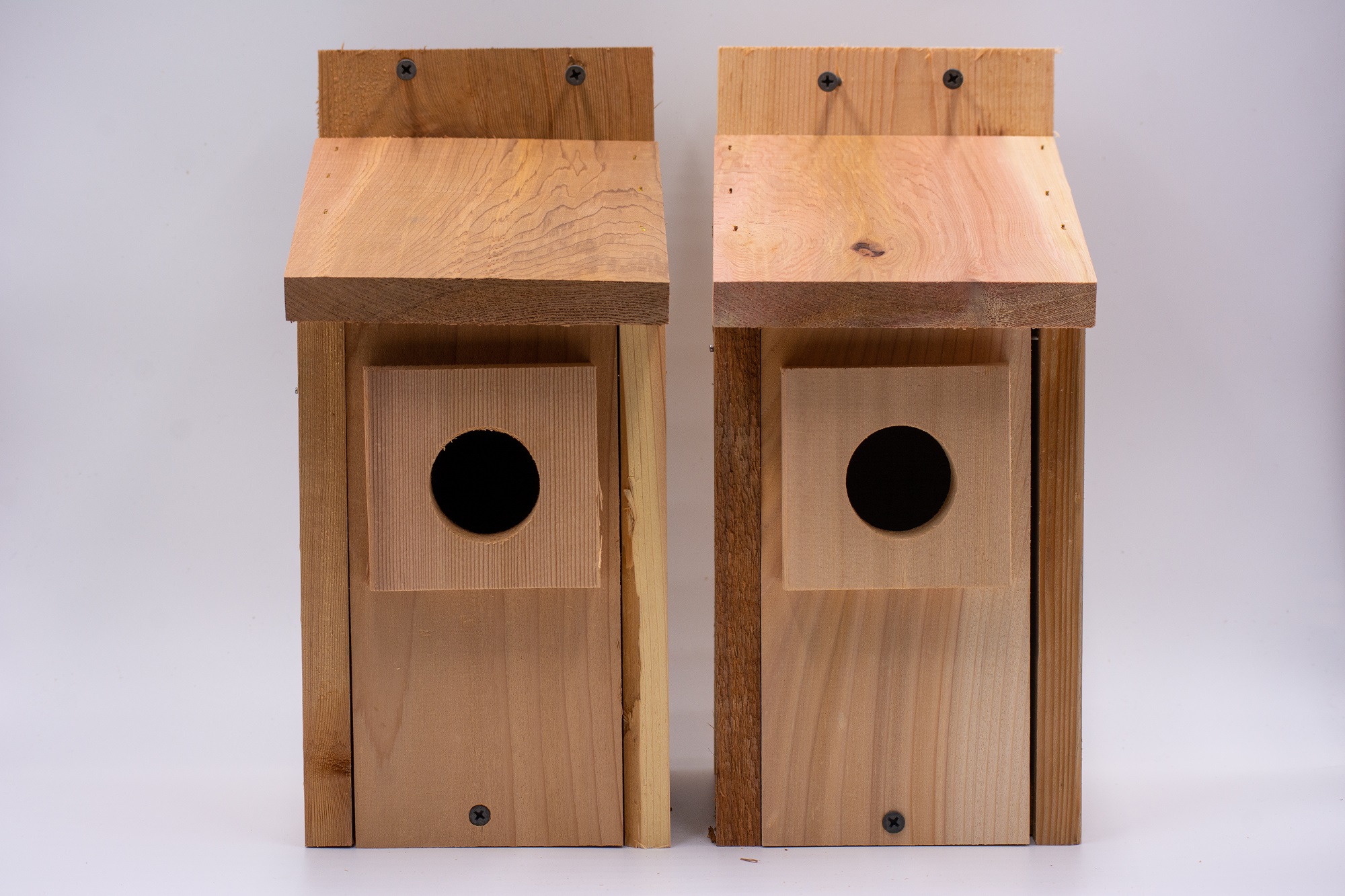 2 bluebird houses
