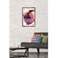 thumbnail image 2 of Godzilla x Kong: The New Empire - Roar Power Wall Poster, 14.725" x 22.375" Framed, 2 of 5
