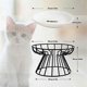 thumbnail image 4 of Cat-Bowls, Elevated Cat-Bowl, Raised Ceramic Cat-Dish with Metal Stand,Pet Water or Food Feeding St, 4 of 5