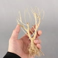 thumbnail image 4 of Paisajismo del acuario,Acuario Driftwood no flotando en el agua,Reptil Araña Madera Natural Ramas Surtidas,Tronco Madera Driftwood Árbol Peces Nadar A Través,Decoración de terrario de, 4 of 9