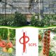 thumbnail image 5 of Soporte para Plantas Baoblaze Ganchos de Escalada 10 m, 5 of 8