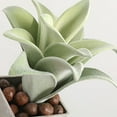 thumbnail image 6 of Mini Artificial Succulent Plant Bonsai Fake Pineapple Leaf Balcony Desktop Decor, 6 of 8