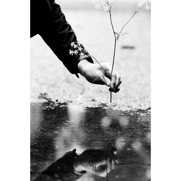 Mud Mud