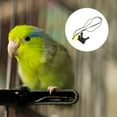 thumbnail image 2 of Adjustable Bird Vest and Harness Leash Kit Outdoor Parrots Flying Training Rope, 2 of 5