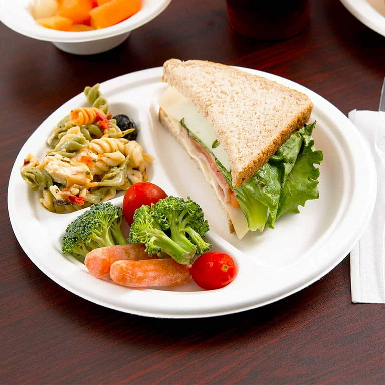 Pfas Free Bagasse Paper Plate Food Safety Disposable Biodegradable Paper  Plates Compostable Paper Plates 9 Inch Bulk - China Compost Tableware and  Plate price