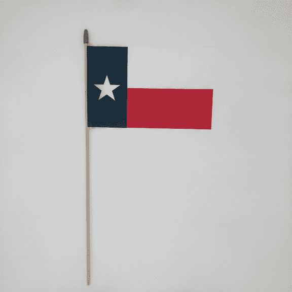 Plastic Texas Flag 12" x 8" (12PK)