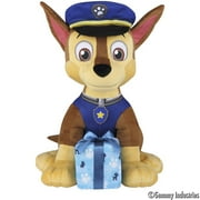 Bday Plush Chase