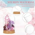 thumbnail image 4 of 2Set Glass Display Dome with Cork Base 3.14x4.6 inch Tabletop Centerpiece Cloche Bell Jar, 4 of 6