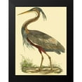 thumbnail image 2 of Selby, John 12x14 Black Modern Framed Museum Art Print Titled - Small Purple Heron, 2 of 5