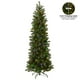 thumbnail image 5 of Árbol de Navidad de National Tree Company, 6.5 pies, con luces LED, 5 of 6