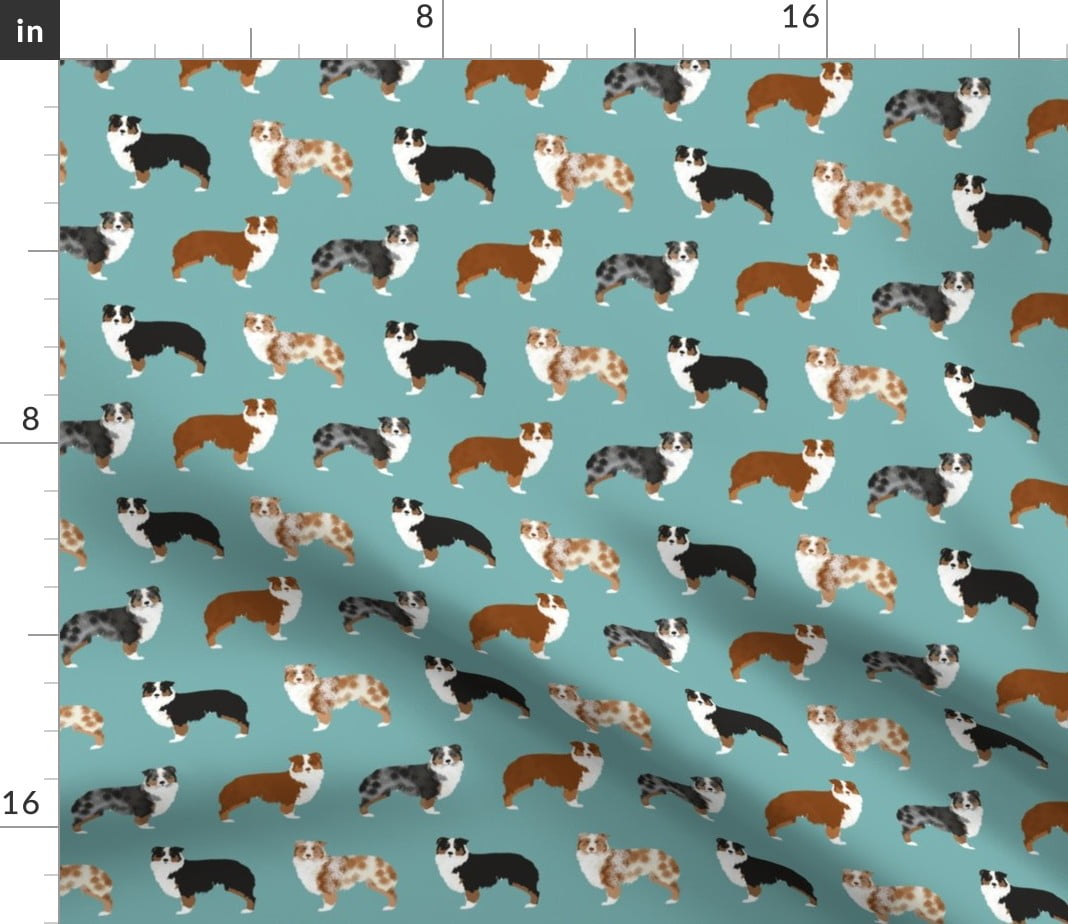 australian shepherd gear