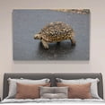 thumbnail image 4 of Leopard Tortoise Turtle South Africa Canvas Poster Bedroom Decor Sports Landscape Office Room Decor Gift,Frame-style,20x30inch(50x75cm), 4 of 8