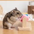 thumbnail image 6 of Product Classification Hamster Toys Enrichment Wooden Puzzle Cube for Interactive Whimsy and Chew, 6 of 7
