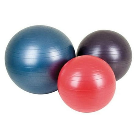 AGM Group 38102 25.59 in. Fitness Ball - Dark Purple