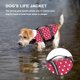 thumbnail image 3 of Xihbxyly Abrigo Reflectante para Mascotas, Traje de Baño para Exteriores, Protección Corporal Completa, Malla Sándwich de Secado Rápido, Hebilla D para Correa Fácil de Usar, Ideal para Caminar En La, 3 of 4