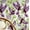 Purple, variant on S4sassy Removable Nature-inspired Waterproof Wall Wrap, Wallcover, Flying Blue Bird & Foliage Contact Paper for Walls, Cabinets, Self Adhesive Vinyl Wallpaper Roll - Blue (25"x360")