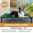thumbnail image 6 of K&H Pet Products Original Pet Cot Elevated Dog Bed Green/Black Mesh Large 42 X 30 X 7 Inches, 6 of 10