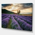 thumbnail image 3 of Designart ' Dramatic Clouds and Sunrise Over Lavender Field VII ' Farmhouse Canvas Wall Art Print, 3 of 4