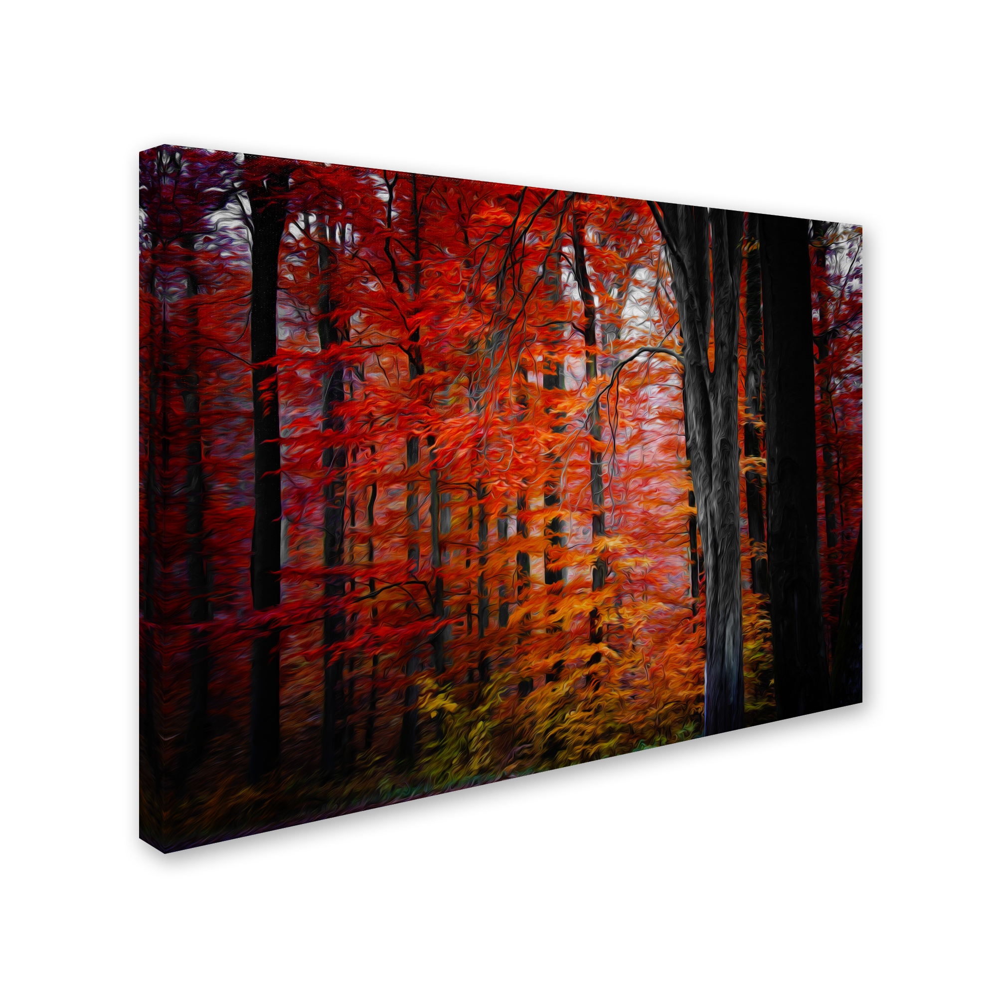 Trademark Fine Art "No Particular Title" Canvas Art by Philippe Sainte-Laudy
