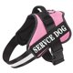 thumbnail image 3 of Arnés para perros con nombre personalizado, arnés para perros bulldog francés, perros medianos y grandes, reflectante, ajustable, suministros para mascotas para caminar al aire libre, 3 of 5
