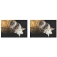 thumbnail image 3 of ECZJNT Funny Cat Flying Sky Placemat Plate Holder Set of 2, Full Moon Starry Night Table Mats Protector 12x18 inch, 3 of 5