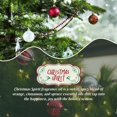 thumbnail image 3 of Shiyou-huile Essentielle de Noël 4 Fl Oz (120ml), Huile Parfumée Esprit de Noël, Huile Essentielle d'Hiver pour Diffuseurs, Huile d'Arbre de Noël pour Fabrication de Bougies, Huile Parfumée de Fête pour la Maison, 3 of 4