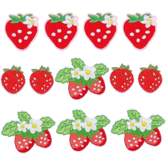 12Pcs Iron on Strawberry Patches Fruit Sew on Patches 3 Styles Cute Red Embroidered Applique Decorative Repair Patch