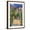 Brown Frame, variant on Art.com The Artist's Garden at Vetheuil Art Print by Claude Monet, 12" x 18"