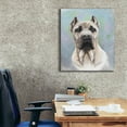 thumbnail image 3 of Epic Graffiti 'Cane Corso 2' by Barbara Keith, Canvas Wall Art, 26"x30", 3 of 8