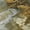 Brown, variant on Addison Rugs Mayfield Premium Machine Washable Transitional Abstract Paprika Rectangle Rug, 10' x 14'