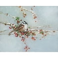thumbnail image 2 of Swatland, Sally 14x12 White Modern Wood Framed Museum Art Print Titled - Woodpecker in Winter, 2 of 4
