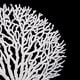 thumbnail image 5 of Coral Artificial Sunnimix Ornamento Decorar de Hogar Blanco Acuario de Coral, 5 of 7