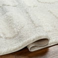 thumbnail image 5 of BoutiqueRugs Dason Farmhouse Area Rug - Off White, Beige, Medium Gray - 2' x 3', 5 of 6