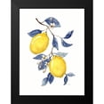 thumbnail image 2 of Nan 19x24 Black Modern Framed Museum Art Print Titled - Odyssey Lemons II, 2 of 5