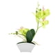 thumbnail image 4 of Maceta decorativa con forma de mariposa y orquídea artificial para decoración del hogar, 4 of 8