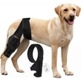 thumbnail image 1 of Stor Hundeknäskydd för Rivna Acl Bakben för Stöd vid Korsbandsskada, Bättre Återhämtning med Hundbensstöd för Bakben -GSL, 1 of 5