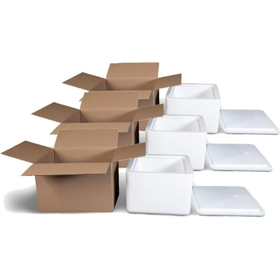 Foam Cooler (Outside Dimensions: 12” x 11” x 9”) with Shipping Box - 3 Pack, Protective, Thermal, Insulated, Biodegradable, Recyclable, Shipping/Storage