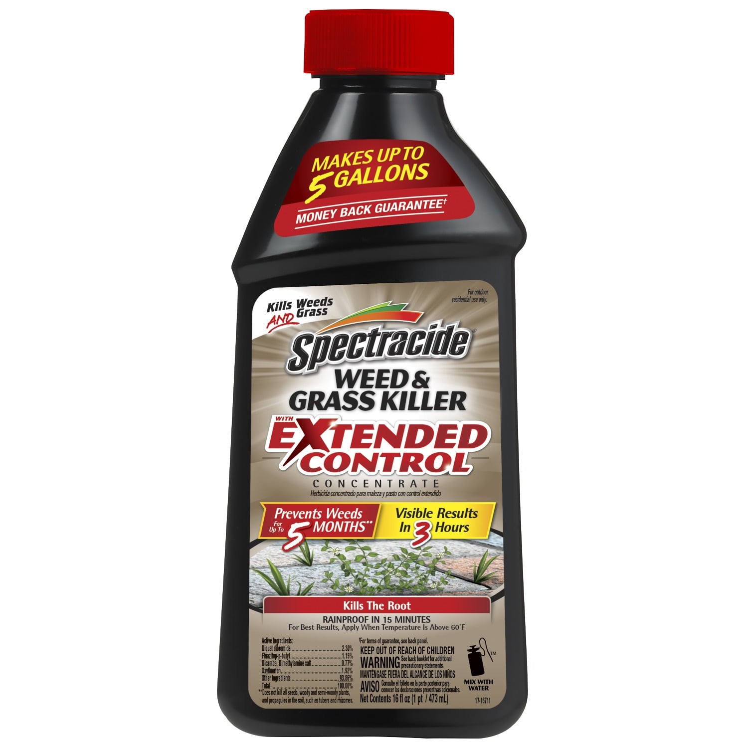 Spectracide Weed & Grass Killer with Extended Control Concentrate, 16fl oz