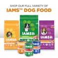 thumbnail image 6 of Iams Proactive Health Wet Dog Food Variety Pack, 13 Oz Cans (12 Pack) - 2Pack (24 Cans Total), 6 of 6