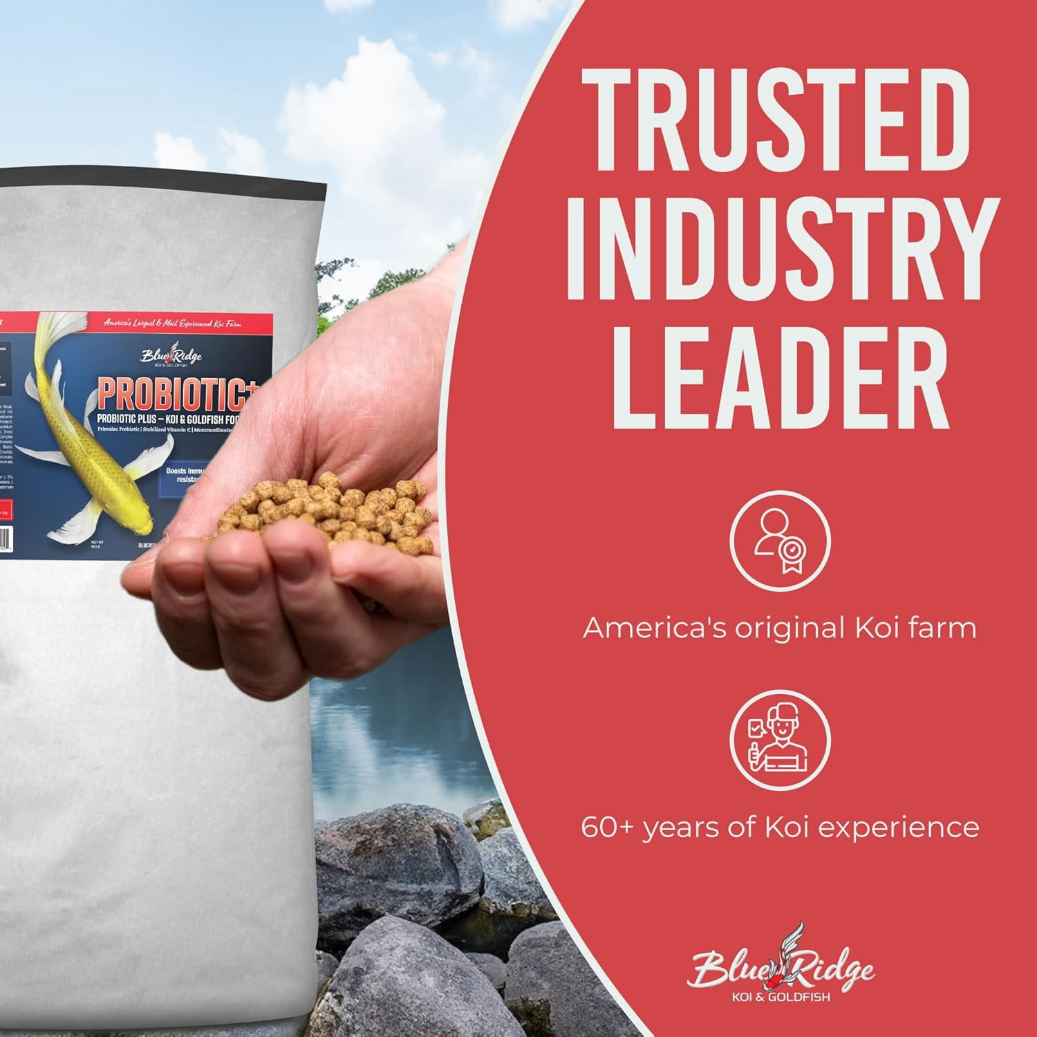 Blue Ridge Koi Fish Food 25lb - Koi Food 3/16” Probiotic Plus, Goldfish Food, Premium Fish Food for Ponds, Ponds Fish Food, Koi Food Fall and Winter Fish Food, Floating Pond Pellets