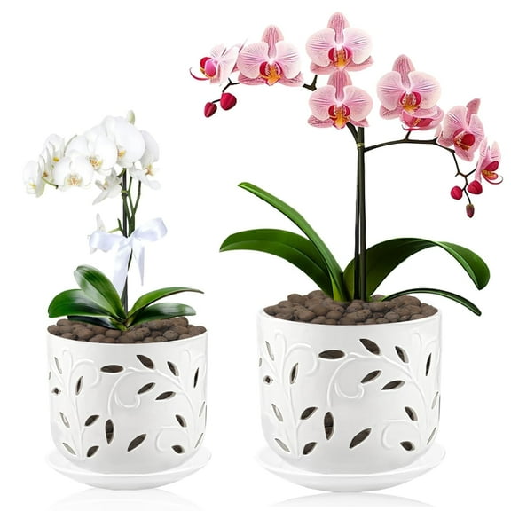 BUYMAX 6 5 inch  Orchid Pot with Holes, Ceramic Plant Pots with Drainage Holes and Tray,Decorative Indoor Outdoor White Flower pots with Saucers